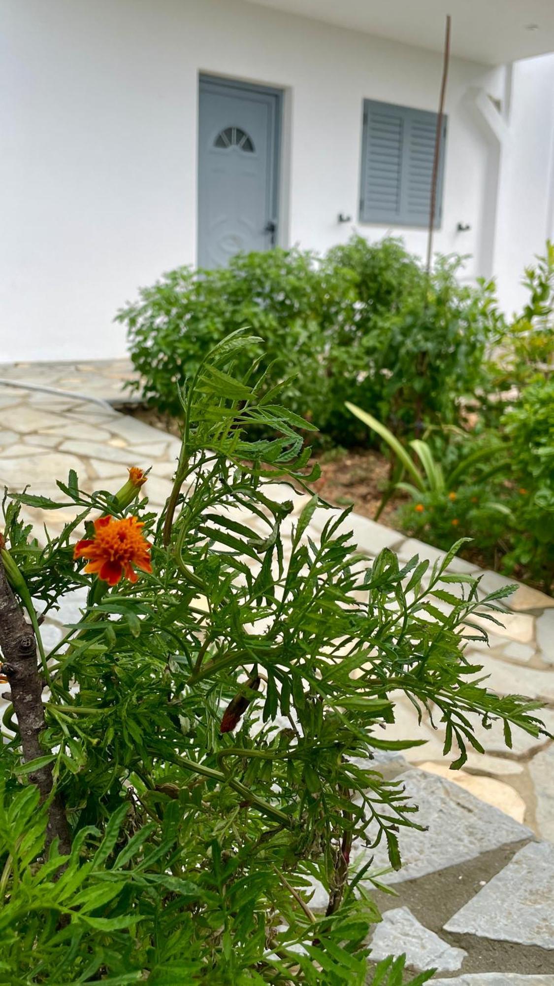 Tasos Rooms Himare Bagian luar foto